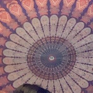 Meet your Posher, Lizeth